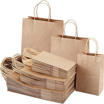 RANUR Disposable Brown Kraft Paper Bags